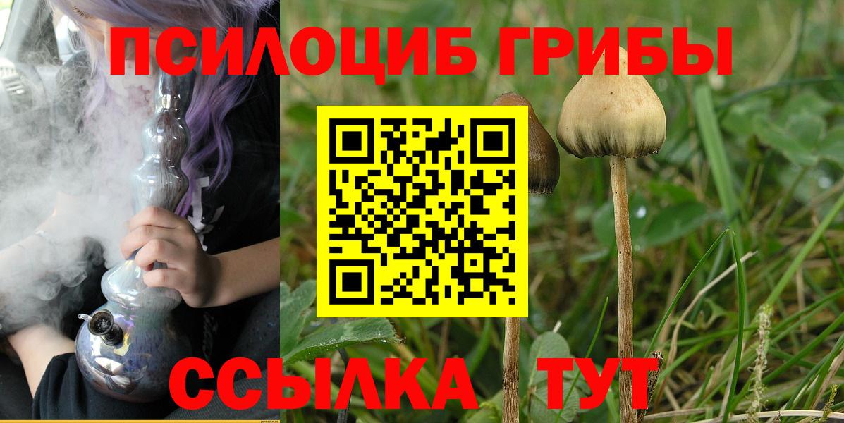 Псилоцибиновые грибы Cubensis Берёзовский