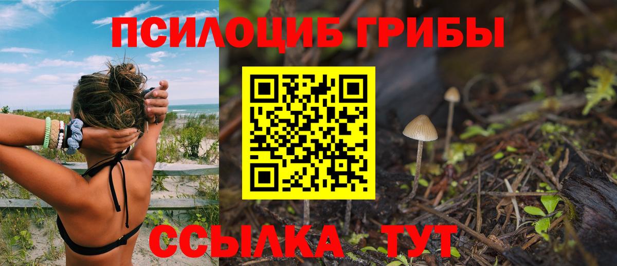 Галлюциногенные грибы GOLDEN TEACHER  Псилоцибиновые грибы MAGIC MUSHROOMS  Берёзовский  Вход с VPN 